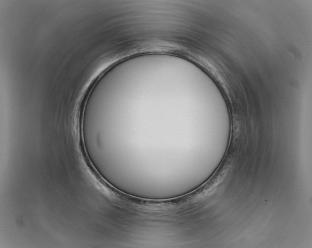 X0000112060843200908041009