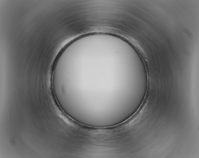 X0000112060846200908041009