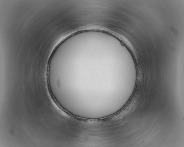X0000112060847200908041009