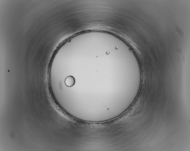 X0000112060848200908041009