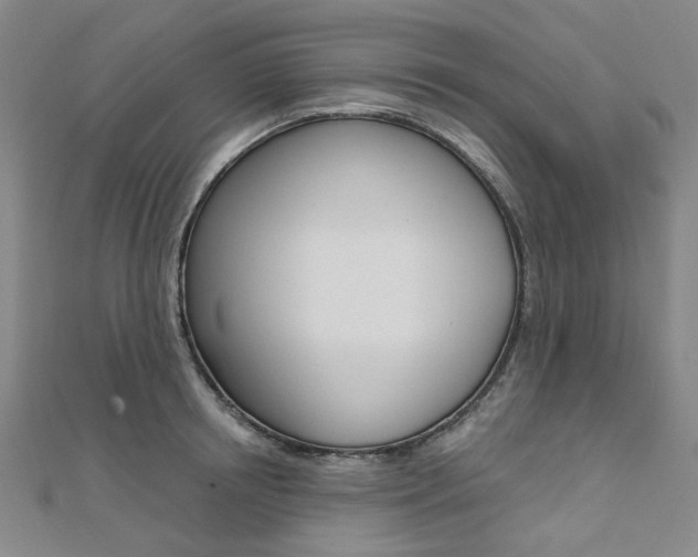 X0000112060850200908041009