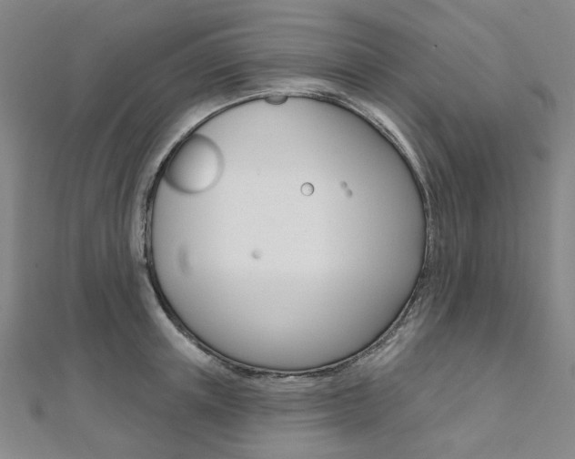 X0000112060851200908041009