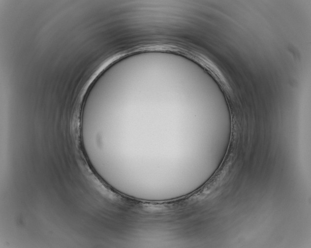 X0000112060852200908041009