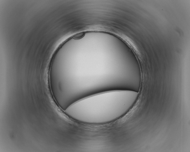 X0000112060854200908041009