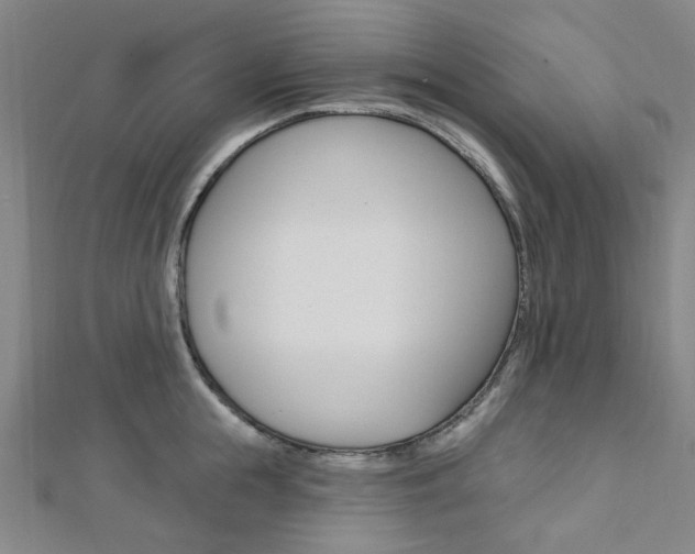 X0000112060855200908041009