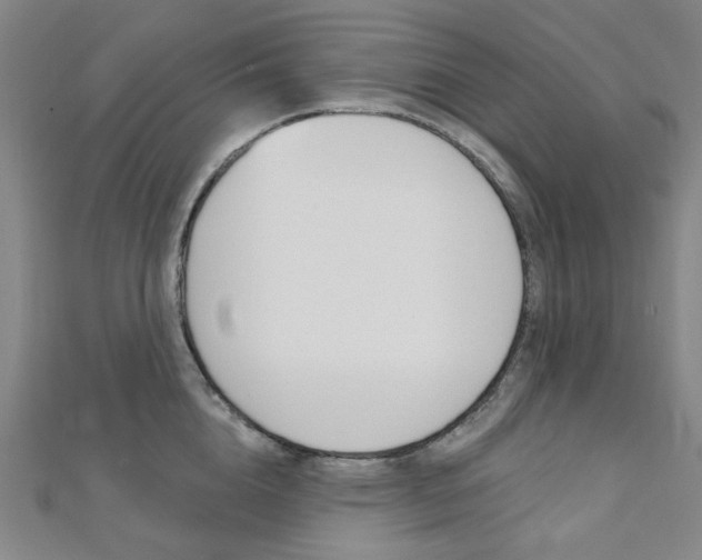 X0000112060856200908041009
