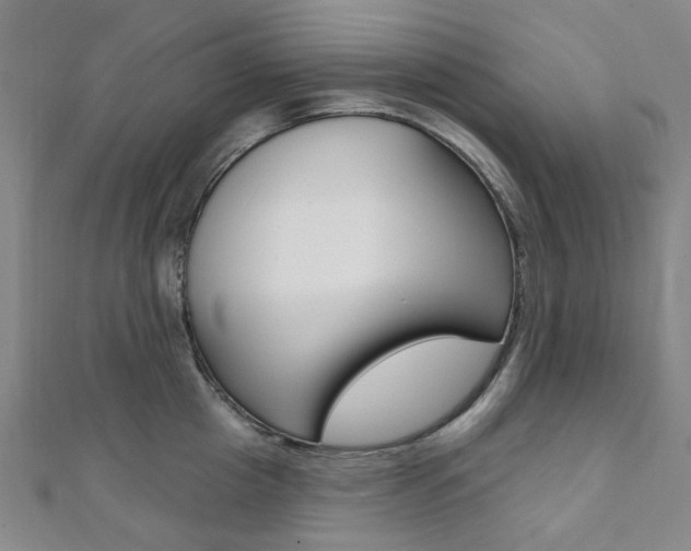 X0000112060857200908041009