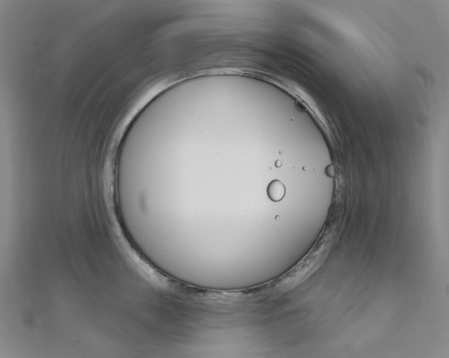 X0000112060859200908041009