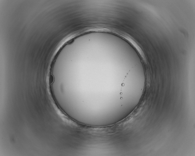 X0000112060861200908041009