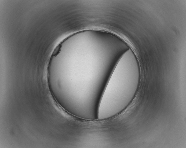 X0000112060862200908041009