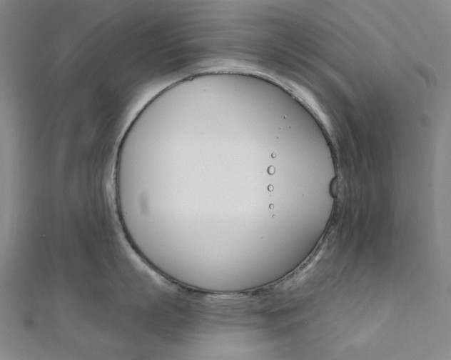 X0000112060863200908041009