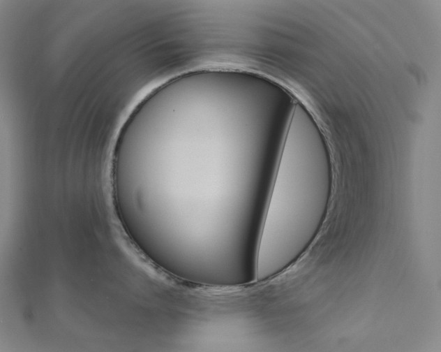 X0000112060864200908041009