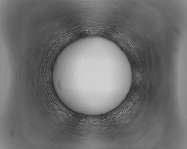 X0000112060865200908041009