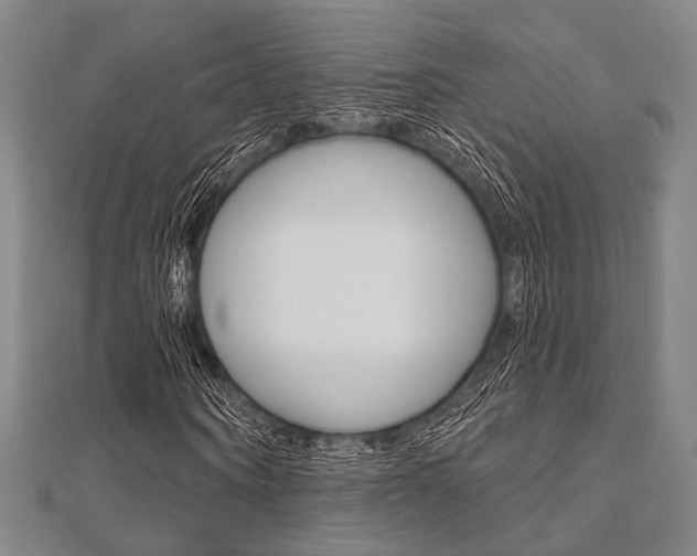 X0000112060866200908041009