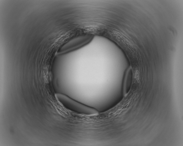 X0000112060868200908041009