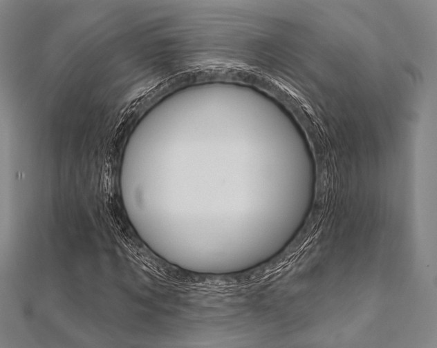 X0000112060869200908041009