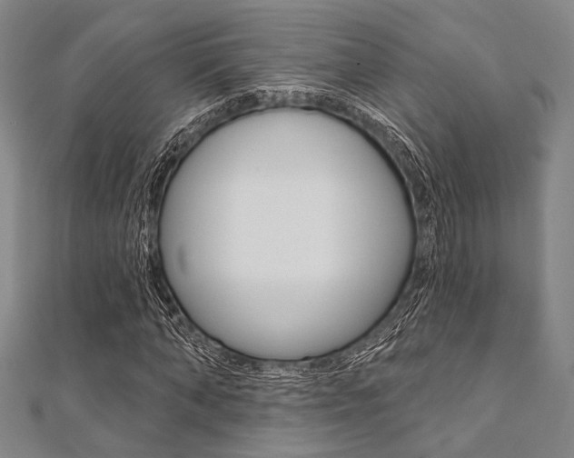 X0000112060870200908041009