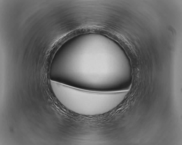 X0000112060872200908041009