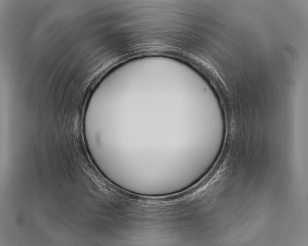 X0000112060873200908041009