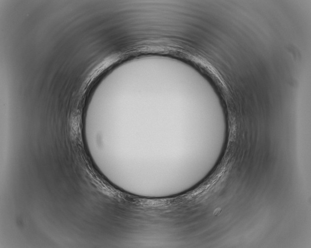 X0000112060874200908041009