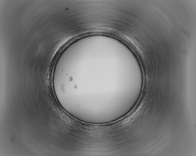 X0000112060875200908041009