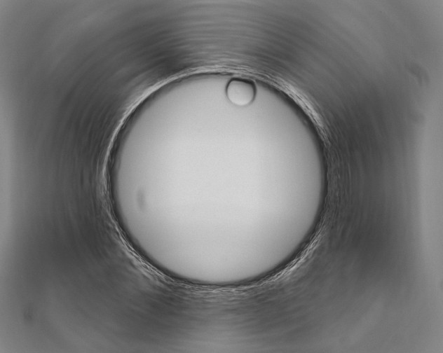 X0000112060876200908041009