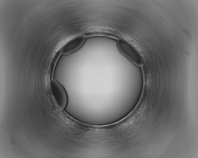 X0000112060877200908041009