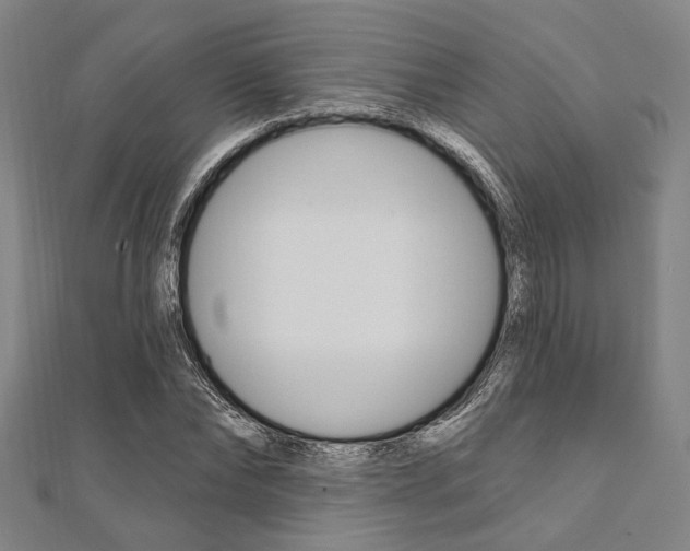 X0000112060878200908041009