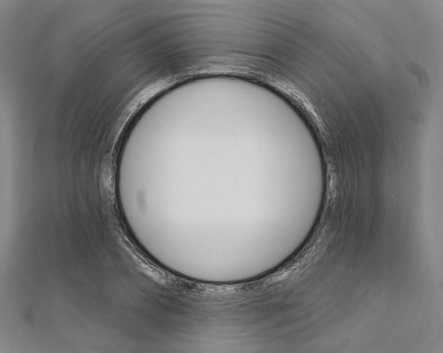 X0000112060882200908041008