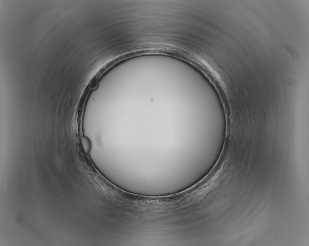 X0000112060883200908041008
