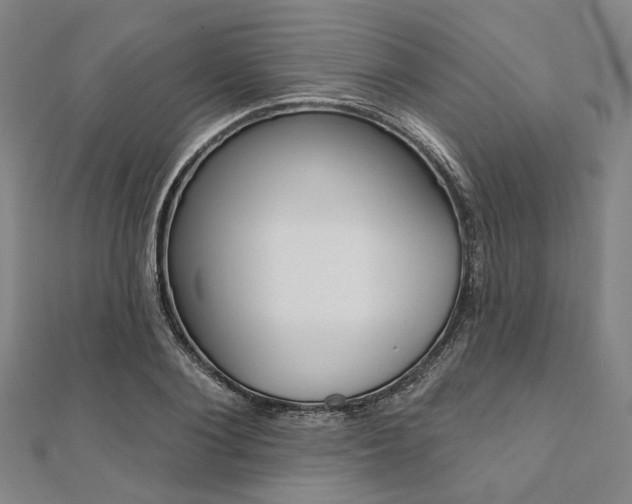 X0000112060884200908041008