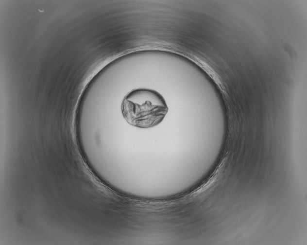 X0000112060885200908041008