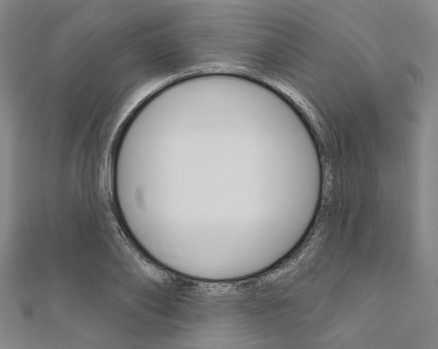 X0000112060886200908041008