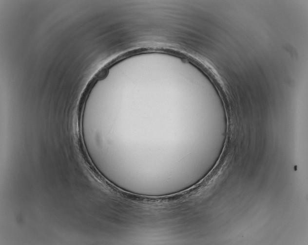 X0000112060887200908041008