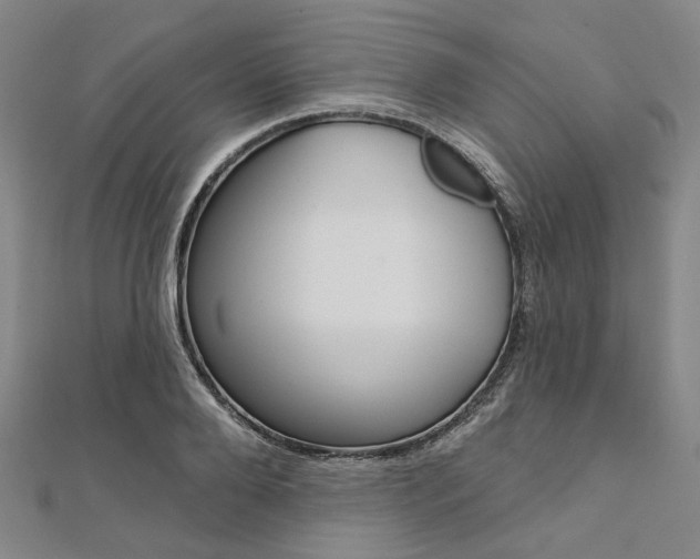 X0000112060888200908041008