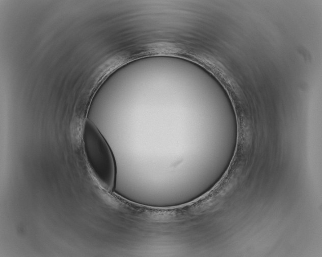 X0000112060889200908041008