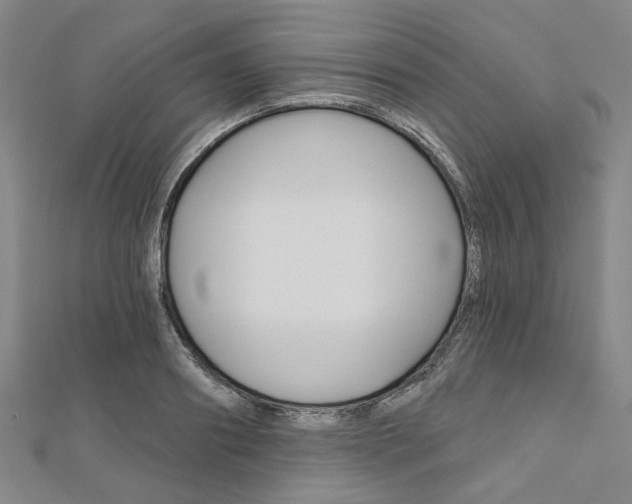 X0000112060890200908041008