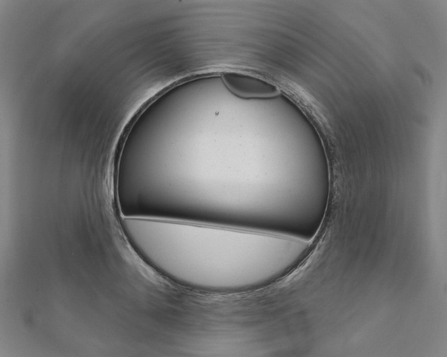 X0000112060892200908041008