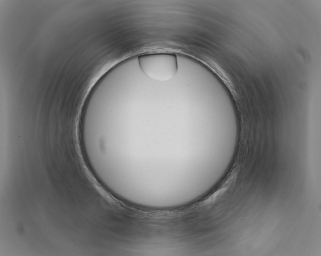 X0000112060893200908041008