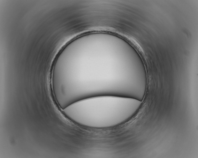 X0000112060895200908041008