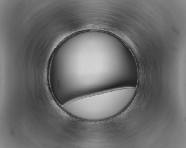 X0000112060896200908041008