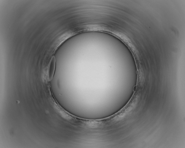 X0000112060897200908041008