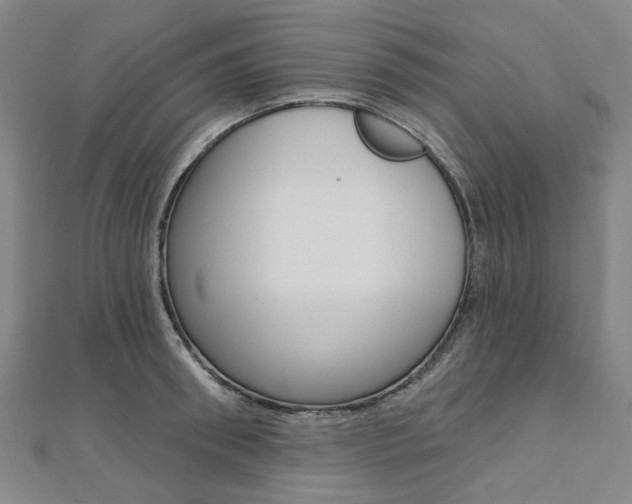 X0000112060898200908041008