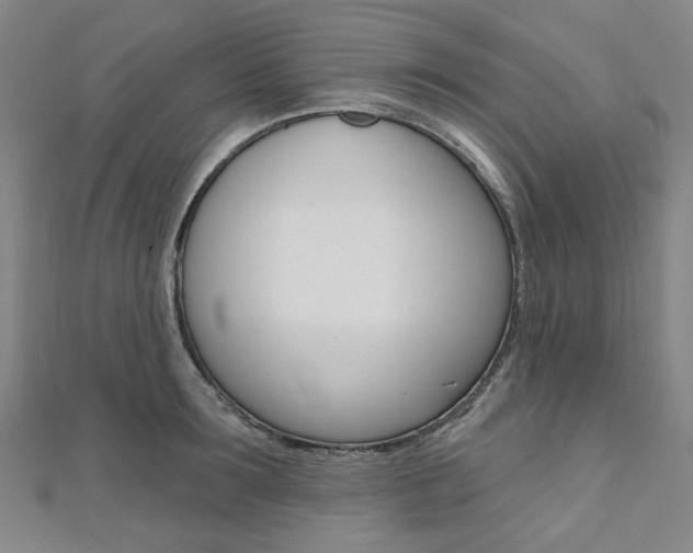 X0000112060899200908041008