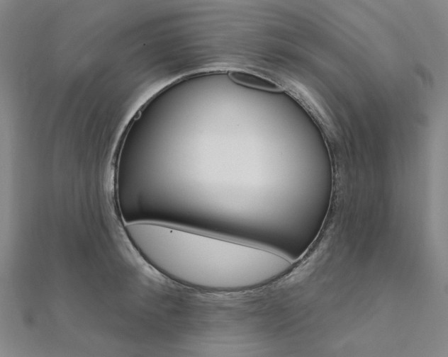 X0000112060900200908041008