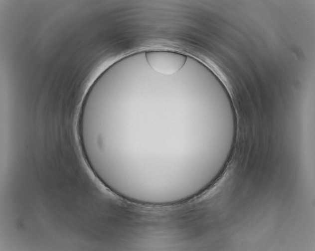 X0000112060901200908041008