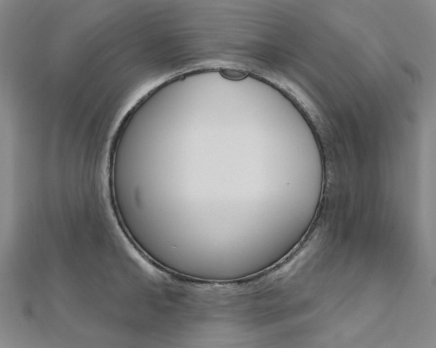 X0000112060902200908041008