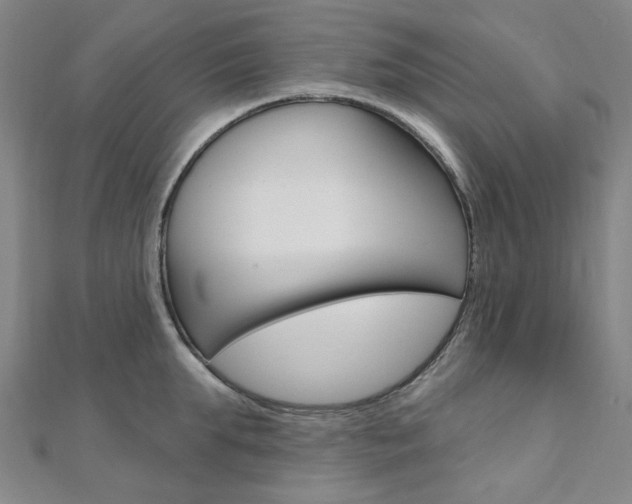 X0000112060903200908041008