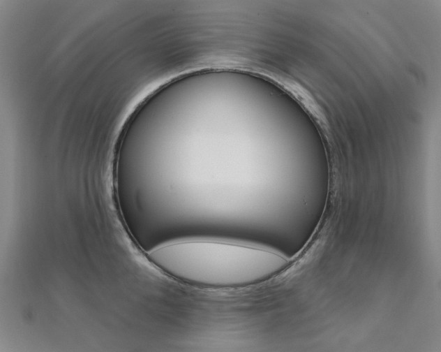 X0000112060904200908041008
