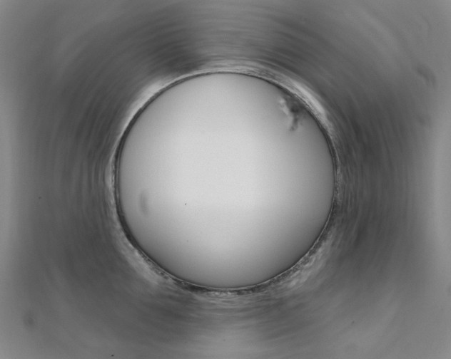 X0000112060907200908041008